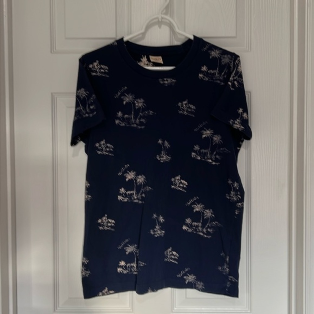 Hollister men’s navy& white short sleeve teeshirt